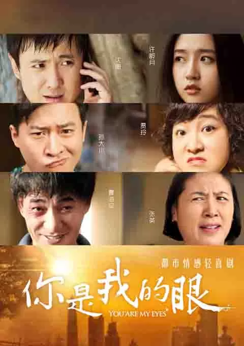 你是我的眼