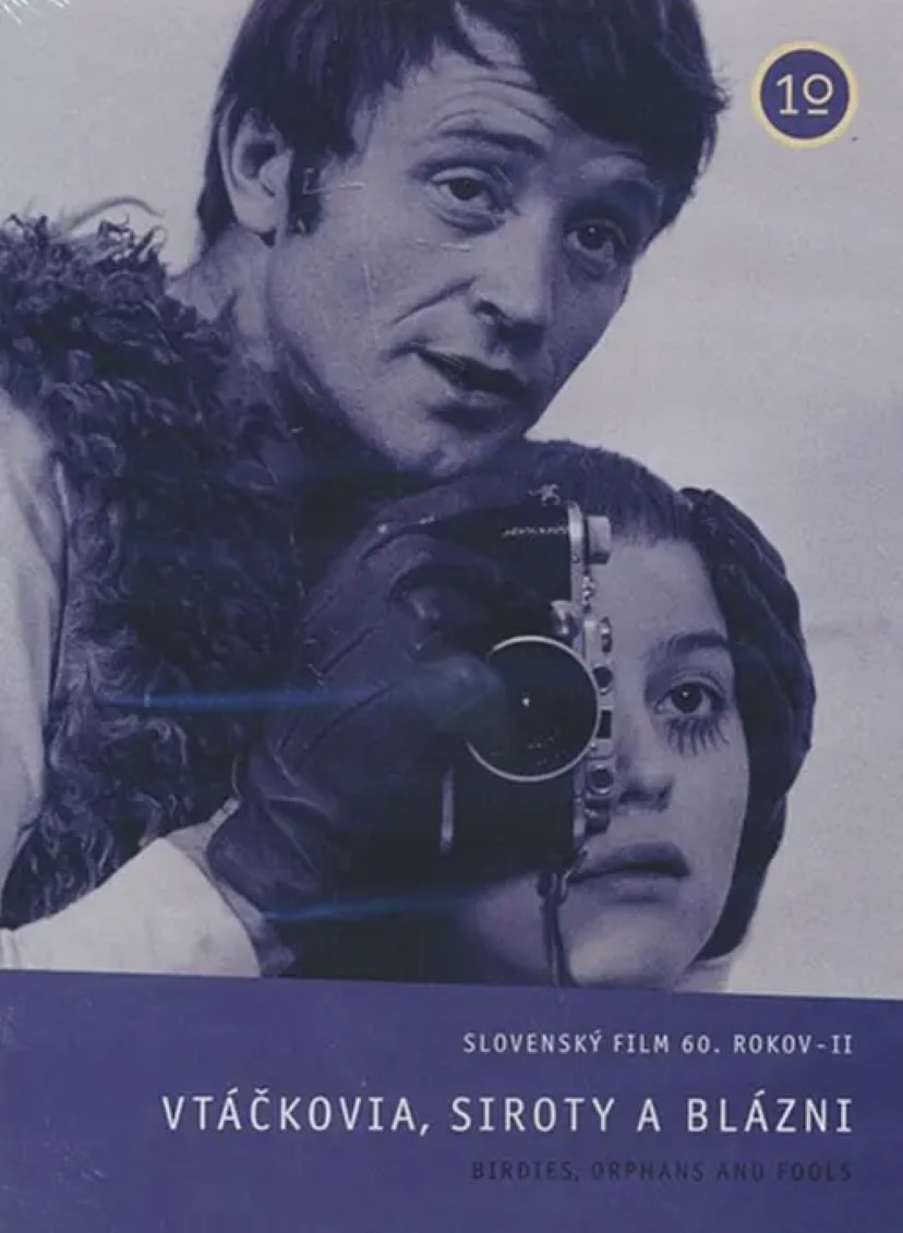 鸟，孤儿和愚人封面图