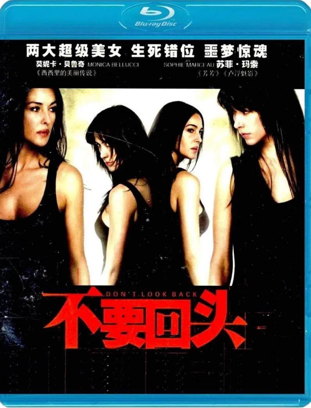 不要回头封面图