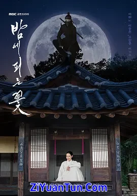 夜晚开的花