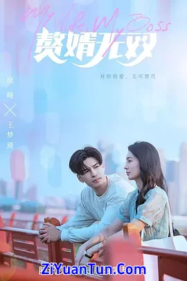 赘婿无双封面图