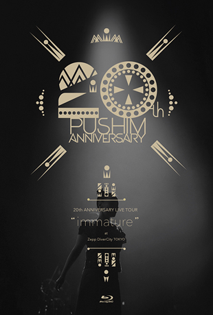 朴富心20周年纪念巡演演唱会