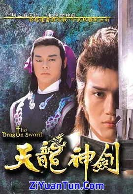 天龙神剑封面图