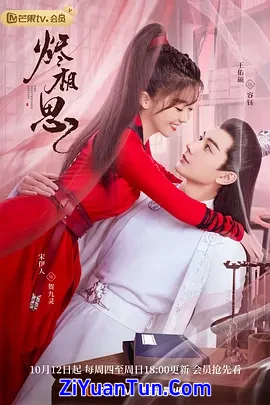 烬相思