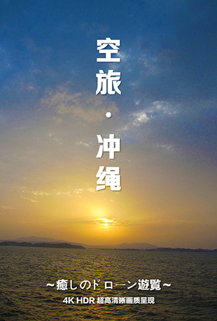空中旅行&amp;#12539;冲绳封面图