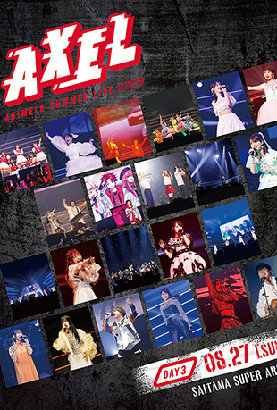 动画旋律的夏季演唱会2008