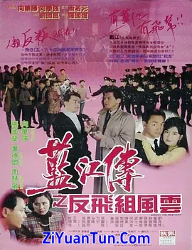 蓝江传之反飞组风云