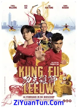 功夫雄狮封面图