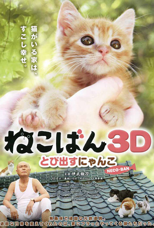 小猫跳出来