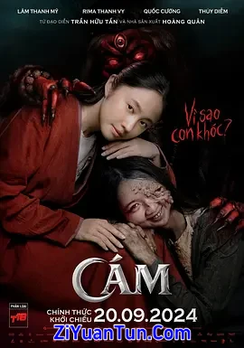 阿糠