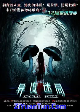 异度迷局