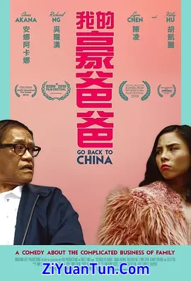 回到中国封面图