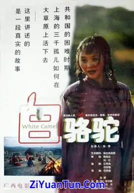 白骆驼