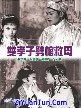 双孝子劈棺救母