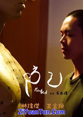 防己封面图