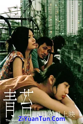 青苔