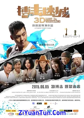搏击迷城封面图