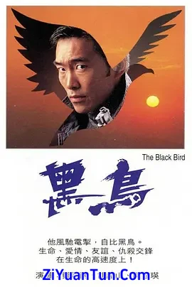黑鸟