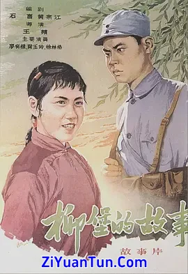 柳堡的故事封面图