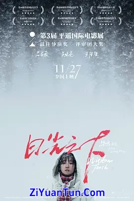 日光之下封面图