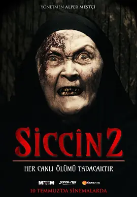西辛2封面图