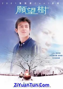 愿望树