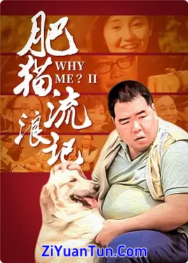 肥猫流浪记