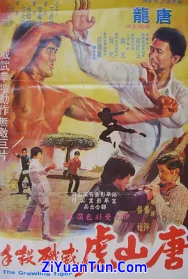 唐山虎威歼杀手