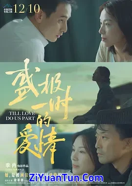 盛极一时的爱情封面图