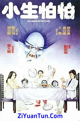 小生怕怕封面图