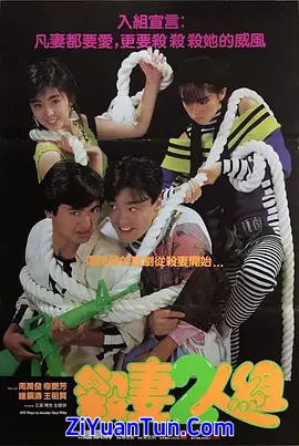 杀妻2人组