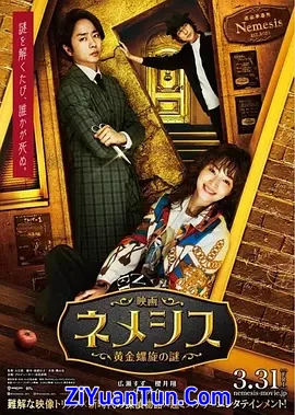 涅墨西斯 黄金螺旋之谜封面图