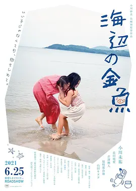 海边的金鱼封面图