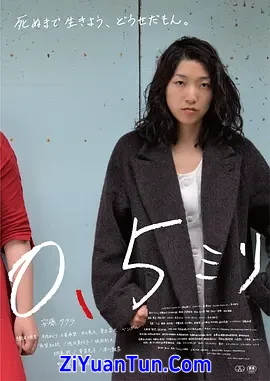 0.5毫米