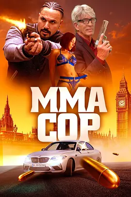 MMA警察封面图
