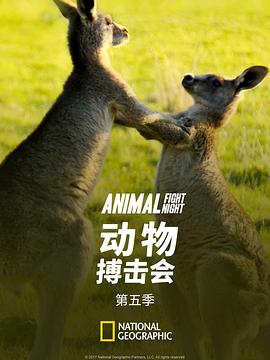 动物搏击会