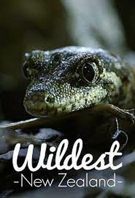 Wildest