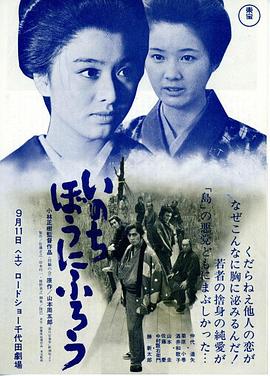 在我冒险的日子