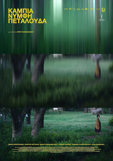 胚胎，幼虫，蝴蝶